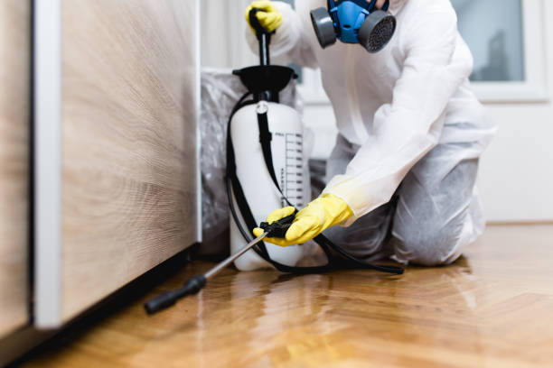 Best Best Pest Control Companies  in Leslie, MI
