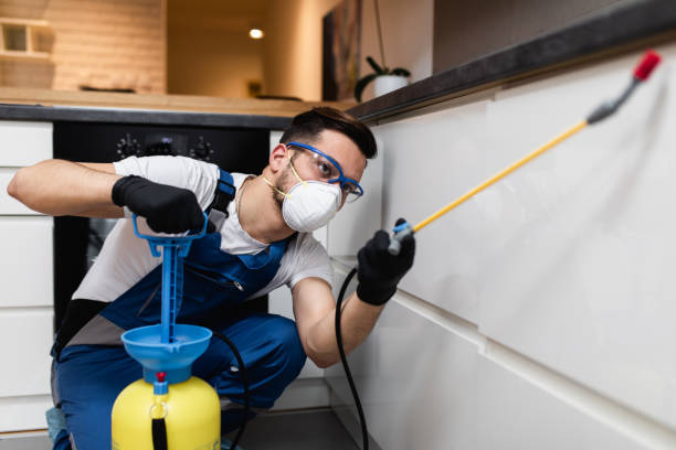 Best Emergency Pest Control  in Leslie, MI