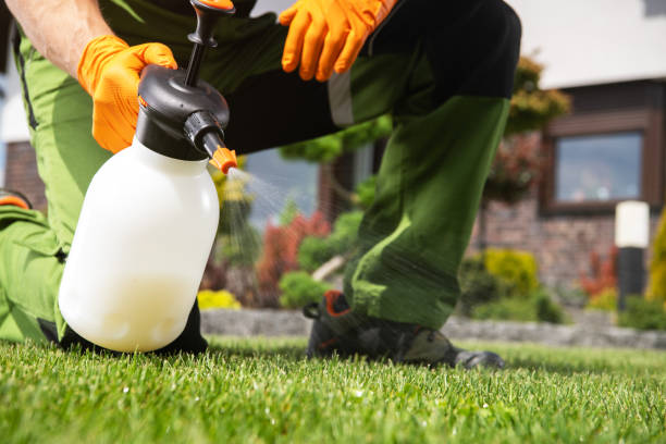 Best Exterminator Services  in Leslie, MI