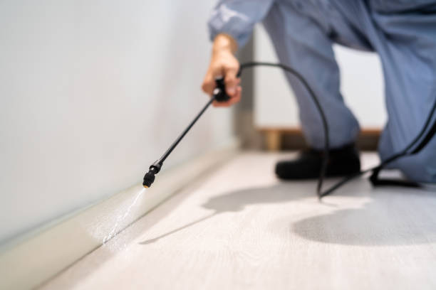 Reliable Leslie, MI Pest Control Solutions