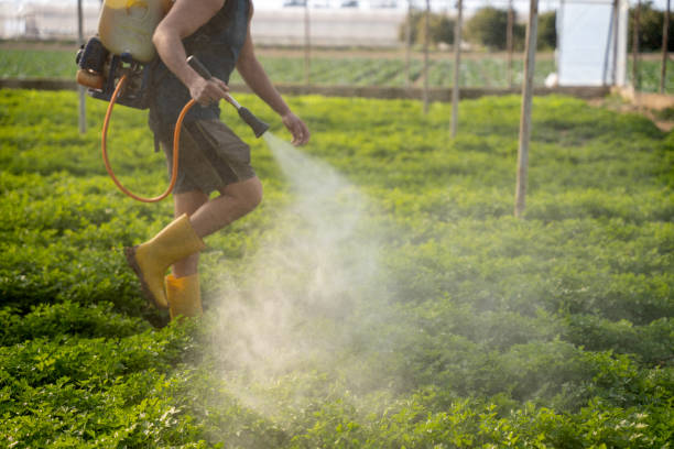Best Ant Control Services  in Leslie, MI