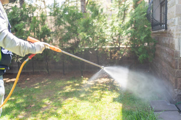 Best Pest Control Near Me  in Leslie, MI