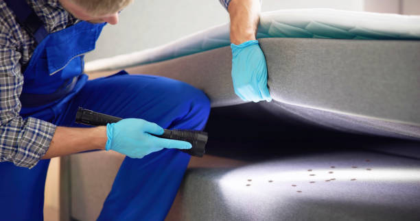 Best Flea Control Services  in Leslie, MI