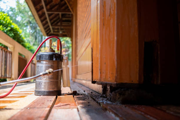 Best Affordable Exterminators  in Leslie, MI