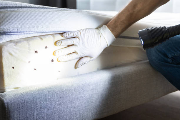 Pest Prevention Services in Leslie, MI