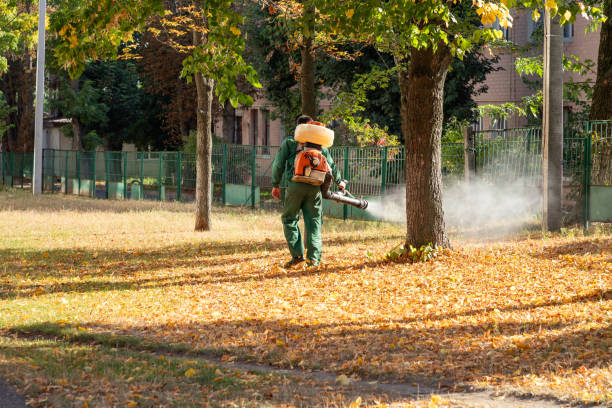 Best Local Pest Control Services  in Leslie, MI