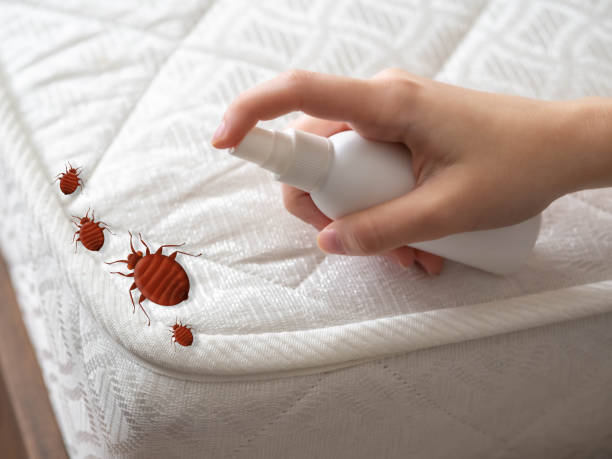 Best Best Pest Control Companies  in Leslie, MI