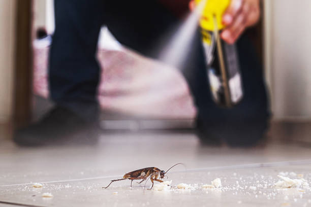Best Spider Control Near Me  in Leslie, MI