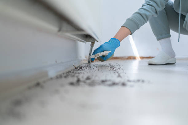 Best Rodent Control Near Me  in Leslie, MI